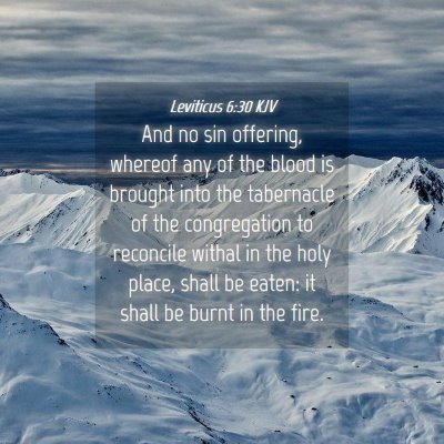 Picture 04 - Leviticus 6:30 KJV - And no sin offering, whereof any of the blood is - Bible Verse Picture