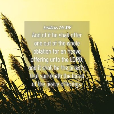 Picture 04 - Leviticus 7:14 KJV - And of it he shall offer one out of the whole - Bible Verse Picture
