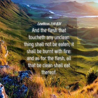 Picture 04 - Leviticus 7:19 KJV - And the flesh that toucheth any unclean thing - Bible Verse Picture