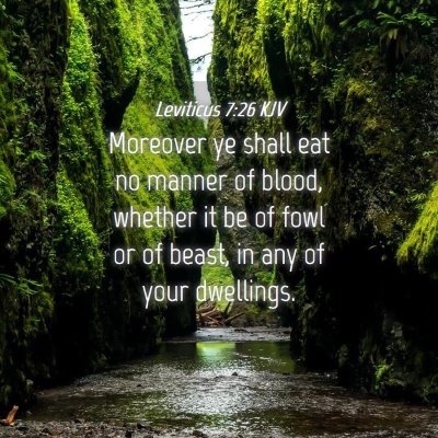Picture 04 - Leviticus 7:26 KJV - Moreover ye shall eat no manner of blood, whether - Bible Verse Picture