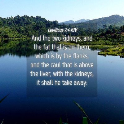 Picture 04 - Leviticus 7:4 KJV - And the two kidneys, and the fat that is on them, - Bible Verse Picture