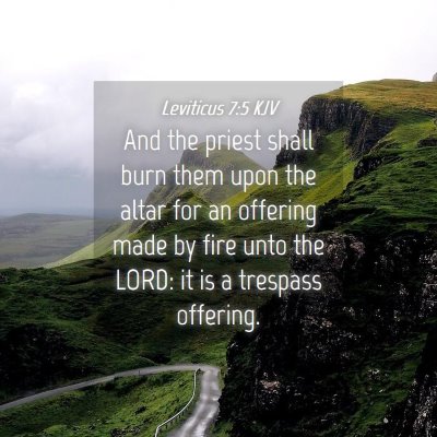 Picture 04 - Leviticus 7:5 KJV - And the priest shall burn them upon the altar for - Bible Verse Picture