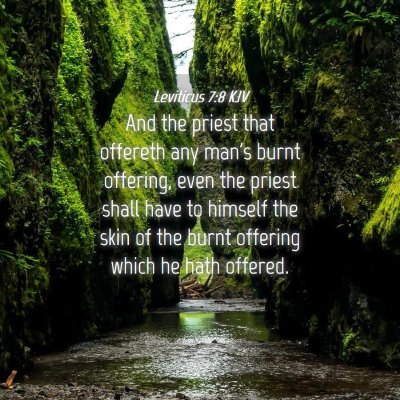 Picture 04 - Leviticus 7:8 KJV - And the priest that offereth any man's burnt - Bible Verse Picture