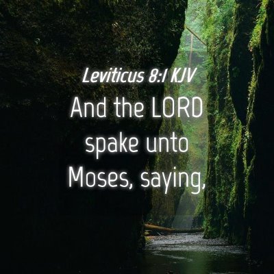 Picture 04 - Leviticus 8:1 KJV - And the LORD spake unto Moses, - Bible Verse Picture