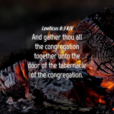 Picture 04 - Leviticus 8:3 KJV - And gather thou all the congregation together - Bible Verse Picture