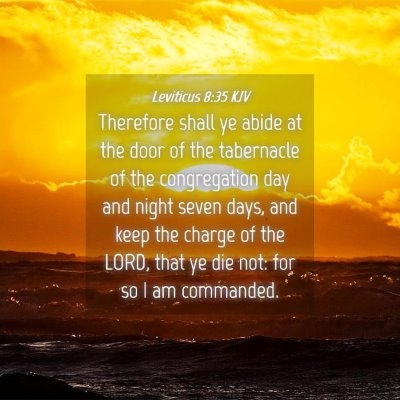 Picture 04 - Leviticus 8:35 KJV - Therefore shall ye abide at the door of the - Bible Verse Picture