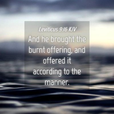 Picture 04 - Leviticus 9:16 KJV - And he brought the burnt offering, and offered it - Bible Verse Picture