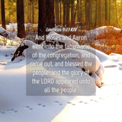 Picture 04 - Leviticus 9:23 KJV - And Moses and Aaron went into the tabernacle of - Bible Verse Picture
