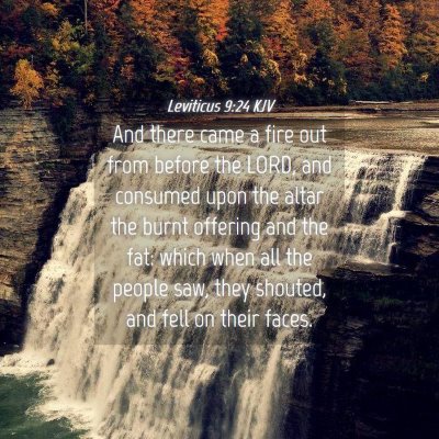 Picture 04 - Leviticus 9:24 KJV - And there came a fire out from before the LORD, - Bible Verse Picture