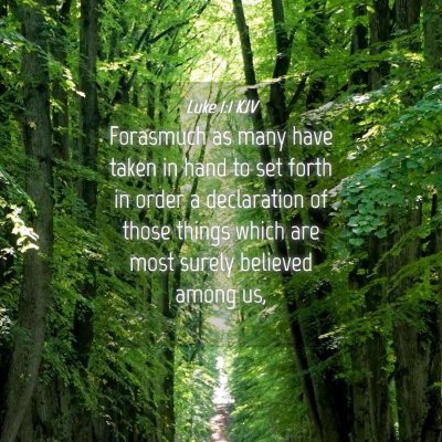 Picture 04 - Luke 1:1 KJV - Forasmuch as many have taken in hand to set forth - Bible Verse Picture