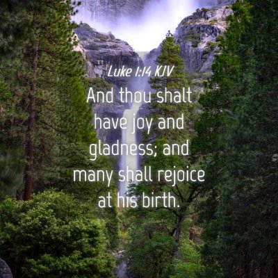 Picture 04 - Luke 1:14 KJV - And thou shalt have joy and gladness; and many - Bible Verse Picture