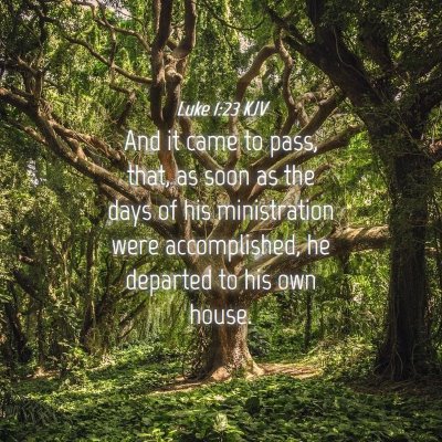 Picture 04 - Luke 1:23 KJV - And it came to pass, that, as soon as the days of - Bible Verse Picture