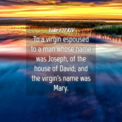 Picture 04 - Luke 1:27 KJV - To a virgin espoused to a man whose name was - Bible Verse Picture