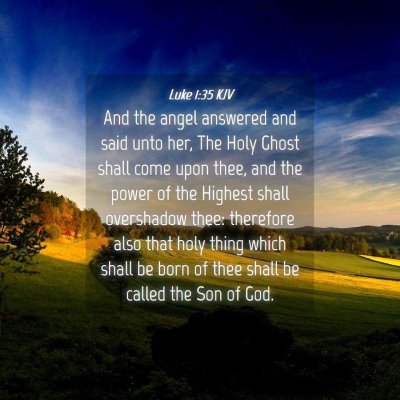 Picture 04 - Luke 1:35 KJV - And the angel answered and said unto her, The - Bible Verse Picture