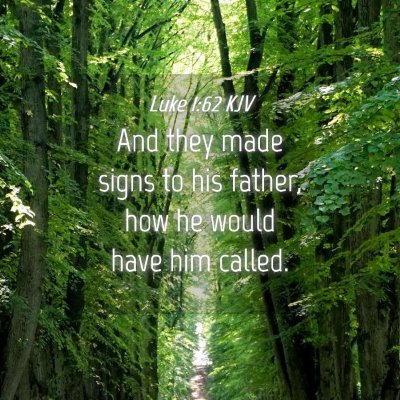 Picture 04 - Luke 1:62 KJV - And they made signs to his father, how he would - Bible Verse Picture