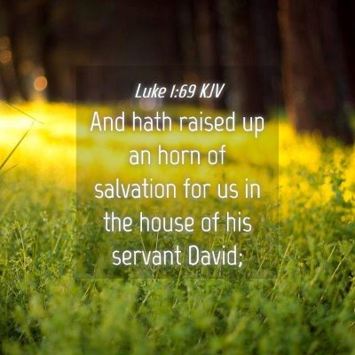 Picture 04 - Luke 1:69 KJV - And hath raised up an horn of salvation for us in - Bible Verse Picture