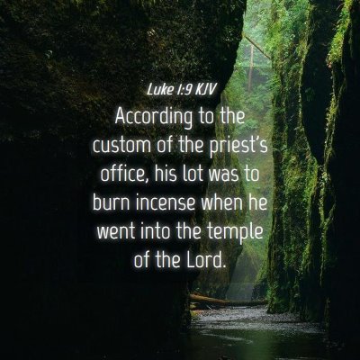 Picture 04 - Luke 1:9 KJV - According to the custom of the priest's office, - Bible Verse Picture