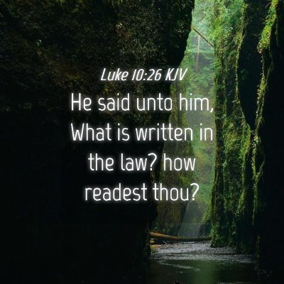 Picture 04 - Luke 10:26 KJV - He said unto him, What is written in the law? how - Bible Verse Picture