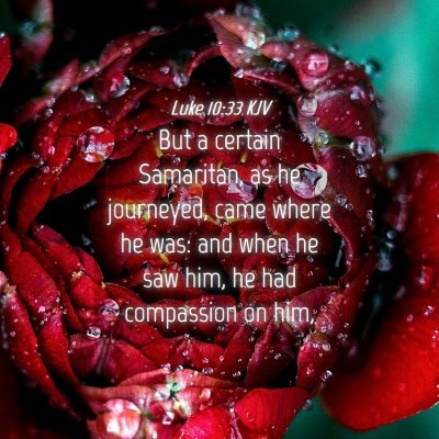 Picture 04 - Luke 10:33 KJV - But a certain Samaritan, as he journeyed, came - Bible Verse Picture