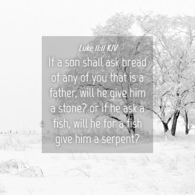 Picture 04 - Luke 11:11 KJV - If a son shall ask bread of any of you that is a - Bible Verse Picture