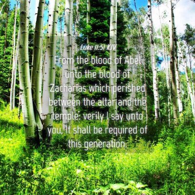 Picture 04 - Luke 11:51 KJV - From the blood of Abel unto the blood of - Bible Verse Picture