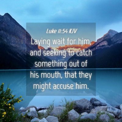 Picture 04 - Luke 11:54 KJV - Laying wait for him, and seeking to catch - Bible Verse Picture