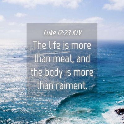 Picture 04 - Luke 12:23 KJV - The life is more than meat, and the body is more - Bible Verse Picture