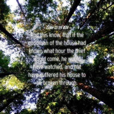 Picture 04 - Luke 12:39 KJV - And this know, that if the goodman of the house - Bible Verse Picture