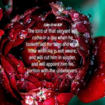Picture 04 - Luke 12:46 KJV - The lord of that servant will come in a day when - Bible Verse Picture