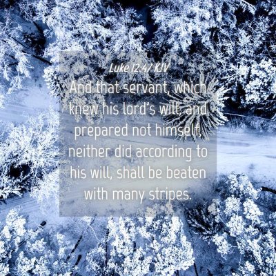 Picture 04 - Luke 12:47 KJV - And that servant, which knew his lord's will, and - Bible Verse Picture