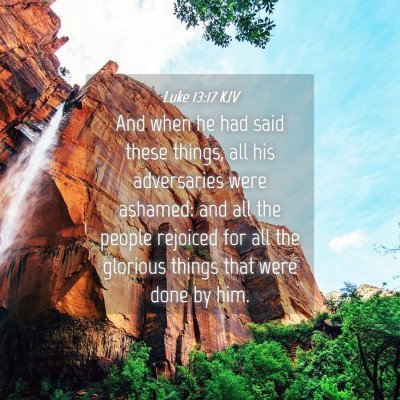 Picture 04 - Luke 13:17 KJV - And when he had said these things, all his - Bible Verse Picture