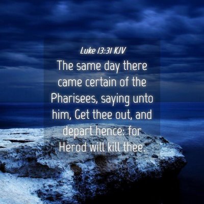 Picture 04 - Luke 13:31 KJV - The same day there came certain of the Pharisees, - Bible Verse Picture