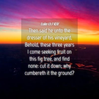 Picture 04 - Luke 13:7 KJV - Then said he unto the dresser of his vineyard, - Bible Verse Picture