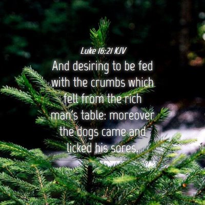 Picture 04 - Luke 16:21 KJV - And desiring to be fed with the crumbs which fell - Bible Verse Picture