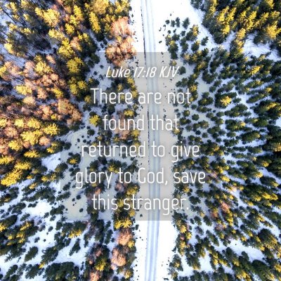Picture 04 - Luke 17:18 KJV - There are not found that returned to give glory - Bible Verse Picture