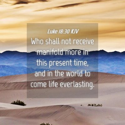 Picture 04 - Luke 18:30 KJV - Who shall not receive manifold more in this - Bible Verse Picture