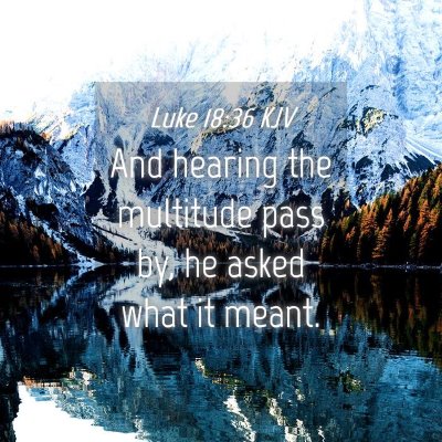 Picture 04 - Luke 18:36 KJV - And hearing the multitude pass by, he asked what - Bible Verse Picture