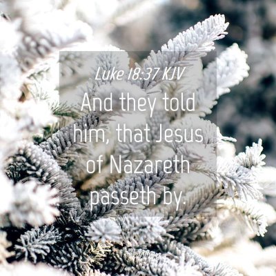 Picture 04 - Luke 18:37 KJV - And they told him, that Jesus of Nazareth passeth - Bible Verse Picture