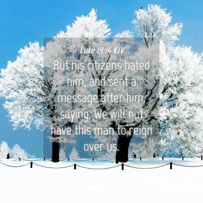 Picture 04 - Luke 19:14 KJV - But his citizens hated him, and sent a message - Bible Verse Picture