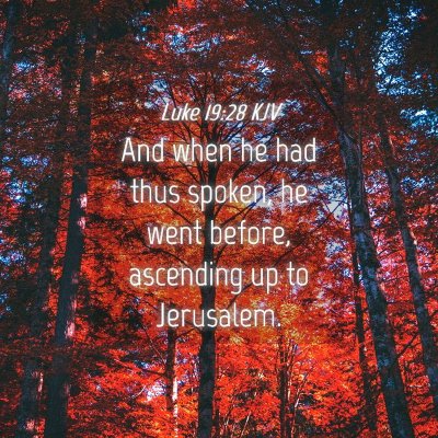 Picture 04 - Luke 19:28 KJV - And when he had thus spoken, he went before, - Bible Verse Picture