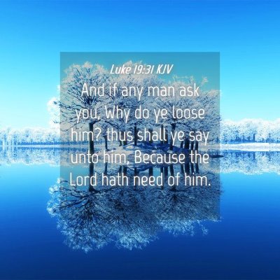 Picture 04 - Luke 19:31 KJV - And if any man ask you, Why do ye loose him? thus - Bible Verse Picture