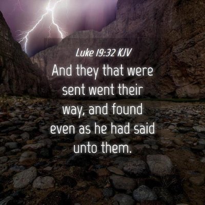 Picture 04 - Luke 19:32 KJV - And they that were sent went their way, and found - Bible Verse Picture
