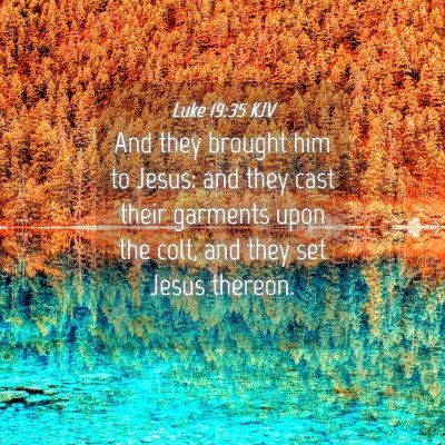 Picture 04 - Luke 19:35 KJV - And they brought him to Jesus: and they cast - Bible Verse Picture