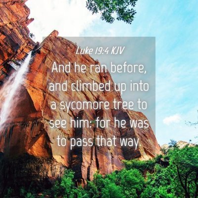 Picture 04 - Luke 19:4 KJV - And he ran before, and climbed up into a sycomore - Bible Verse Picture