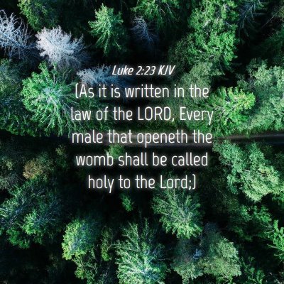 Picture 04 - Luke 2:23 KJV - (As it is written in the law of the LORD, Every - Bible Verse Picture