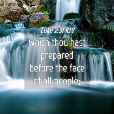 Picture 04 - Luke 2:31 KJV - Which thou hast prepared before the face of all - Bible Verse Picture