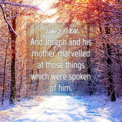 Picture 04 - Luke 2:33 KJV - And Joseph and his mother marvelled at those - Bible Verse Picture