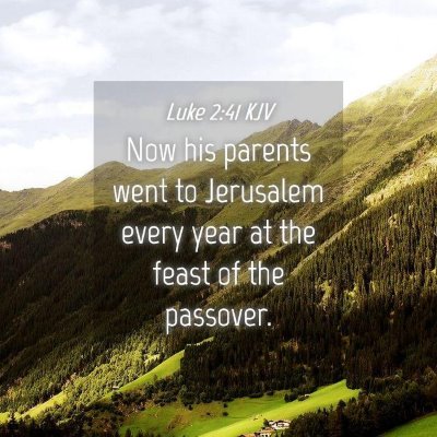 Picture 04 - Luke 2:41 KJV - Now his parents went to Jerusalem every year at - Bible Verse Picture