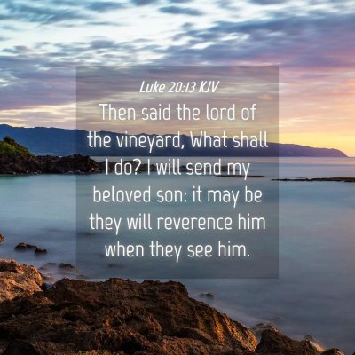 Picture 04 - Luke 20:13 KJV - Then said the lord of the vineyard, What shall I - Bible Verse Picture