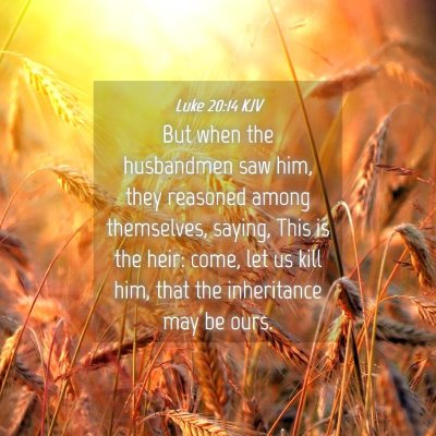Picture 04 - Luke 20:14 KJV - But when the husbandmen saw him, they reasoned - Bible Verse Picture